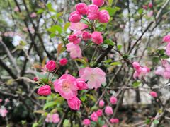 -饭橘汉江码头·乡野土菜馆(静安路店)
