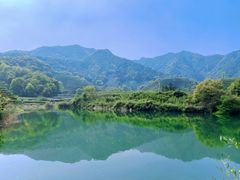 -龙坞茶村