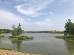-东郊湿地公园