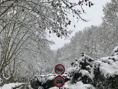 -浙江大学(玉泉校区)