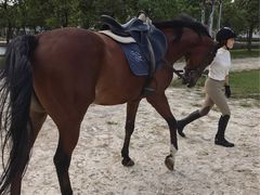 -松声马术俱乐部