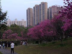 -堤角公园