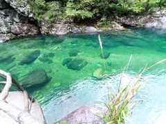 -石台牯牛降景区