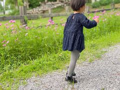 -田园东方蜜桃村的田野营地