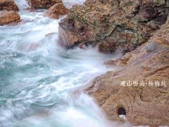 -杨梅坑
