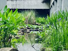 -中国湿地博物馆