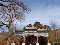 -北京植物园-展览温室