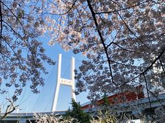 -自然谷恐龙园
