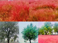 -汉长安城未央宫国家考古遗址公园