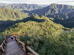 -大岭沟猕猴桃谷风景区