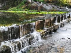 -紫海香堤香草艺术庄园