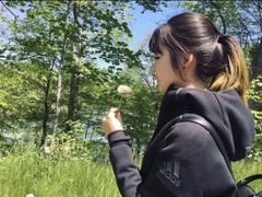 -尼亚加拉瀑布州立公园