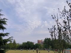-泰丰公园