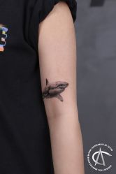 -AC TATTOO 纹身