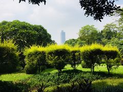 -晓港公园