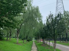 -永定河休闲森林公园