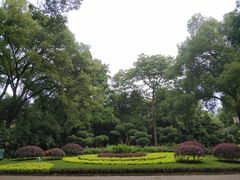 -雀儿山公园