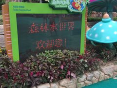 -苏州乐园森林水世界