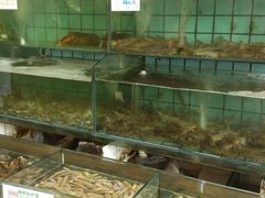 -海岛渔村大酒店(云霄路店)