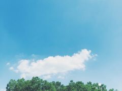 -杭州城北体育公园