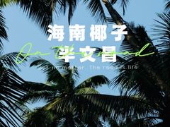 -东郊椰林