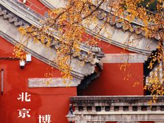 -北京艺术博物馆(万寿寺)