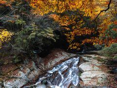 -光雾山旅游景区