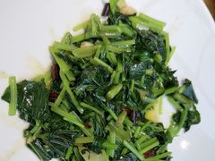 -滇铺子·云南特色菜·第九届野生菌美食节(东风东路c86店)