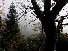 -祁门牯牛降观音堂风景区