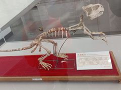 -中国第四纪冰川遗迹陈列馆