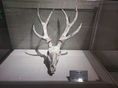 -甘肃地质博物馆