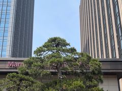 -上海宝华万豪酒店