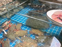 -木柴豆腐·活海鲜·鲁菜(岚山路店)