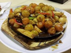 板筋-焯宇豆皮涮牛肚