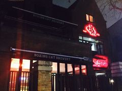 -Boxing Cat Brewery拳击猫精酿啤酒馆(永福店)
