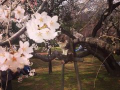 -京都御所