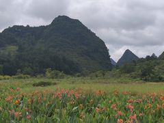 -靖西鹅泉风景区