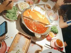 -九鼎轩脆毛肚火锅(三钢里店)