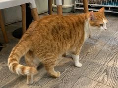 -小时光咖啡馆(北锣鼓巷店)