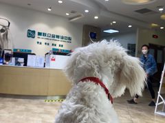 -美联众合动物医院·24h转诊中心