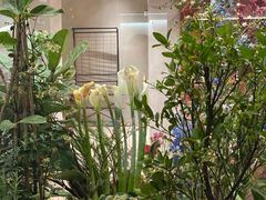 -二酉书店TOYOU BOOKS