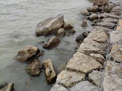 -合肥滨湖国家森林公园