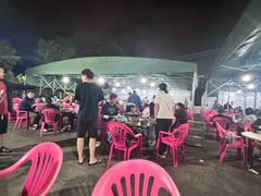-霞姐屯昌枫木香草鸭店(海螺店)