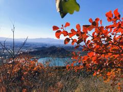 -北京十三陵国家森林公园蟒山景区