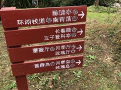 -鹅湖玫瑰文化园