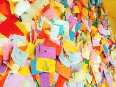 -志龙皇冠吃货椰子铺