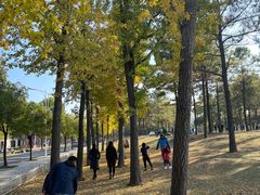 -美兰湖景区