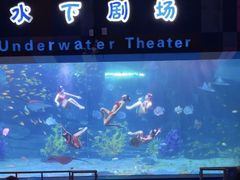 -泉城欧乐堡海洋极地世界