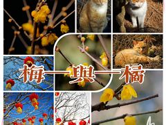 -颐和园