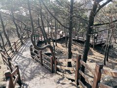 -沂蒙山旅游区云蒙景区(蒙山国家森林公园)